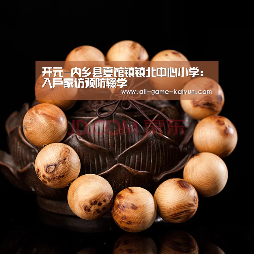 开元-内乡县夏馆镇镇北中心小学:入户家访预防辍学(图3) 开元棋牌网址